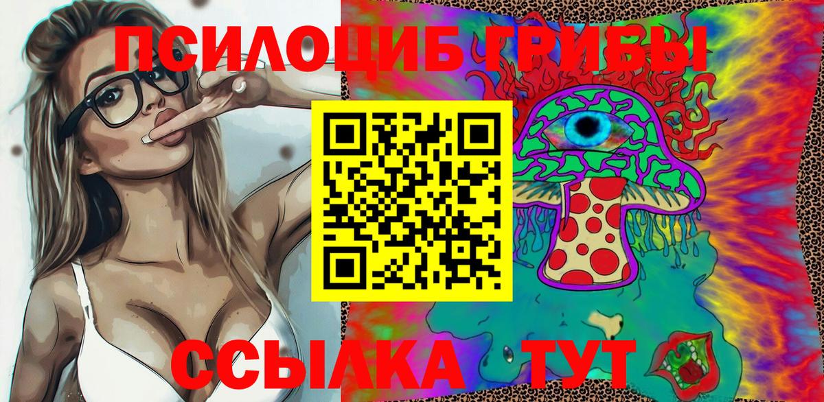 Псилоцибиновые грибы GOLDEN TEACHER  Вход с VPN  Хабаровск 